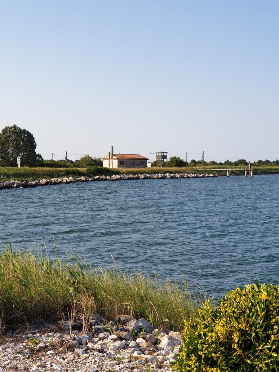 Pourquoi opter pour le parc national du Delta du Pô ?