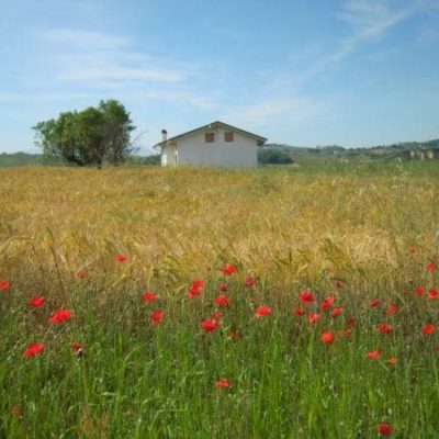 Abruzzes – Villa Papavero – EL390